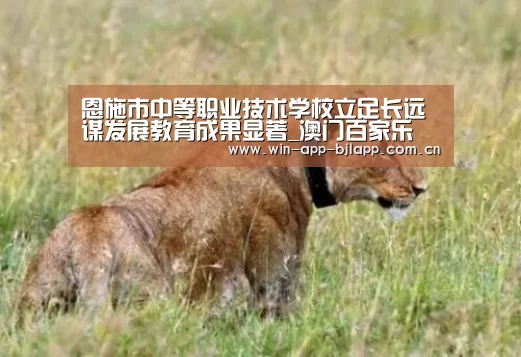 恩施市中等职业技术学校立足长远谋发展教育成果显著_澳门百家乐(图3) 澳门百家乐